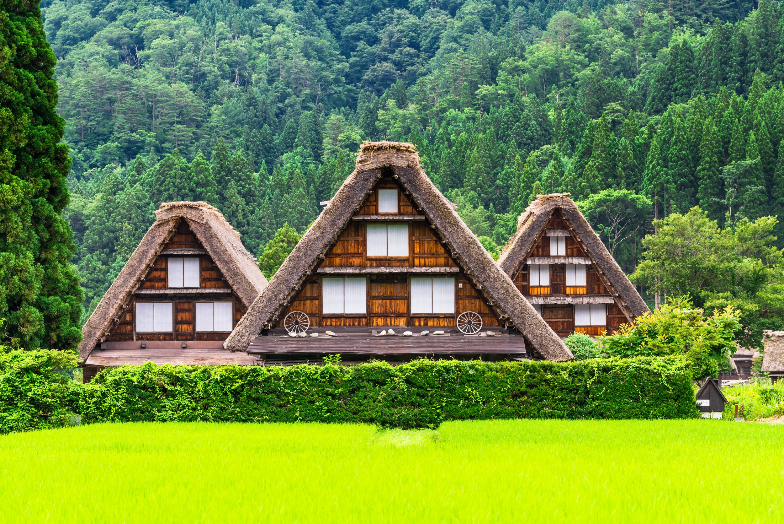 Shirakawago and Takayama 2 Days Tour from Tokyo - Photo 1 of 9