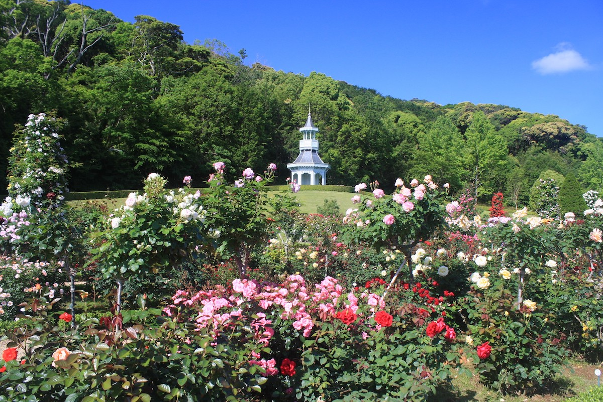 Shizuoka Kawazu Bagatelle Park Entrance E-ticket <100 yen discount privilege for a beverage> - Photo 1 of 7