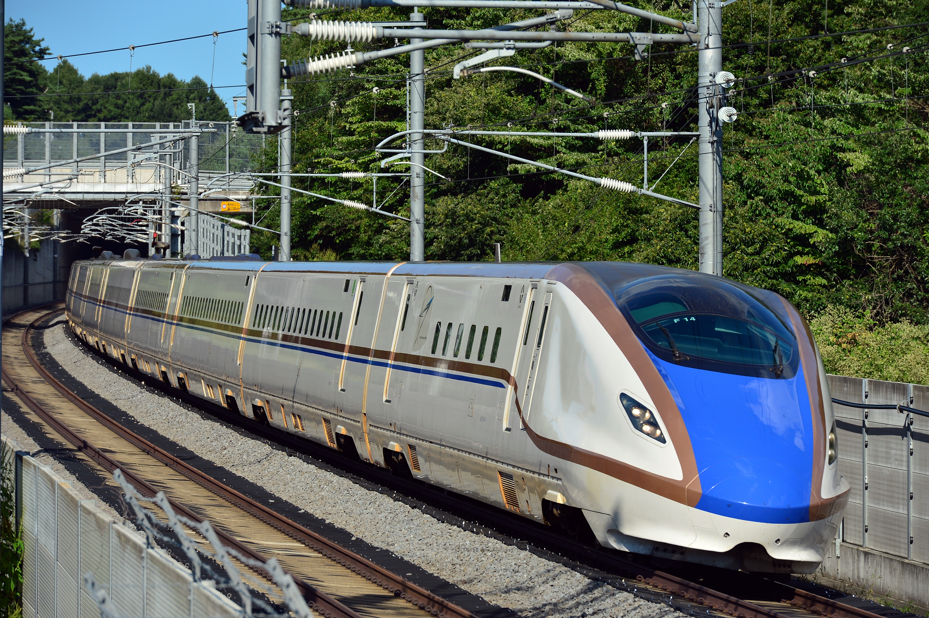 SKYTREE® ENJOY PACK JR EAST PASS (Nagano, Niigata area) Plan - Photo 1 of 5