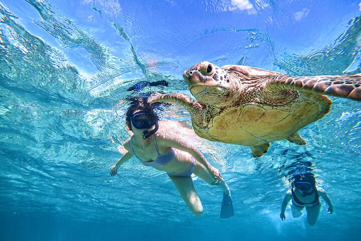  Snorkeling Activity in Okinawa Miyako Japan - Photo 1 of 5
