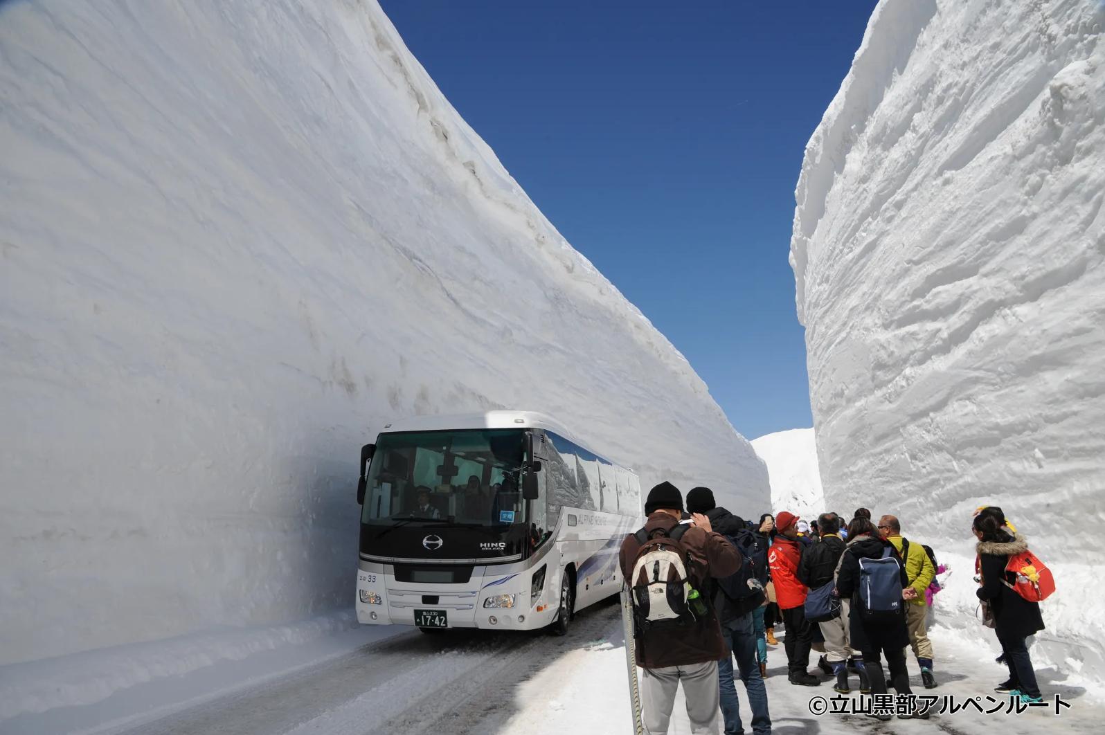 Snow Wall 1 Day Bus Tour with Chinese Speaking Guide from Nagoya - Photo 1 of 8