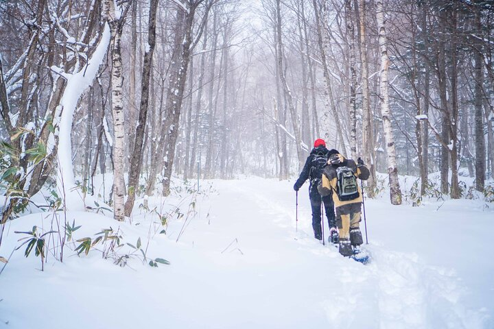 Snowshoe to Spectacular Winter Ice Caves in Hokkaido in