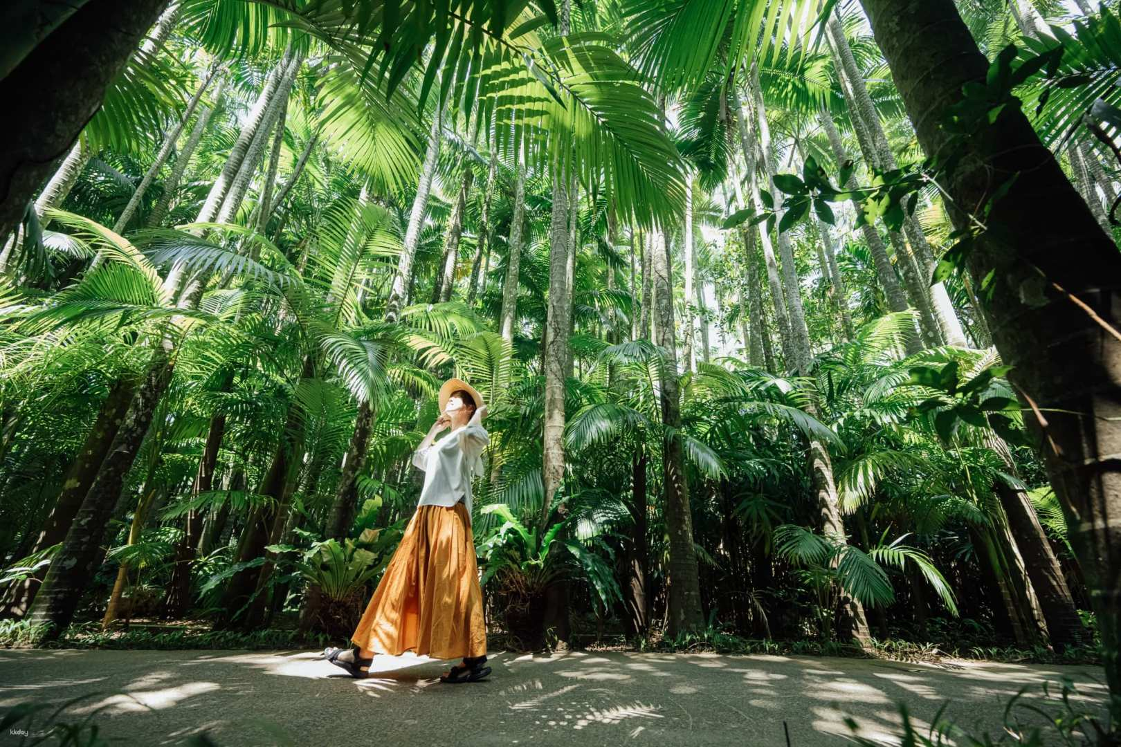 Experience the lush greenery of Southeast Botanical Gardens where tropical plants flourish and families can engage with friendly animals creating lasting memories and a deeper appreciation for nature.