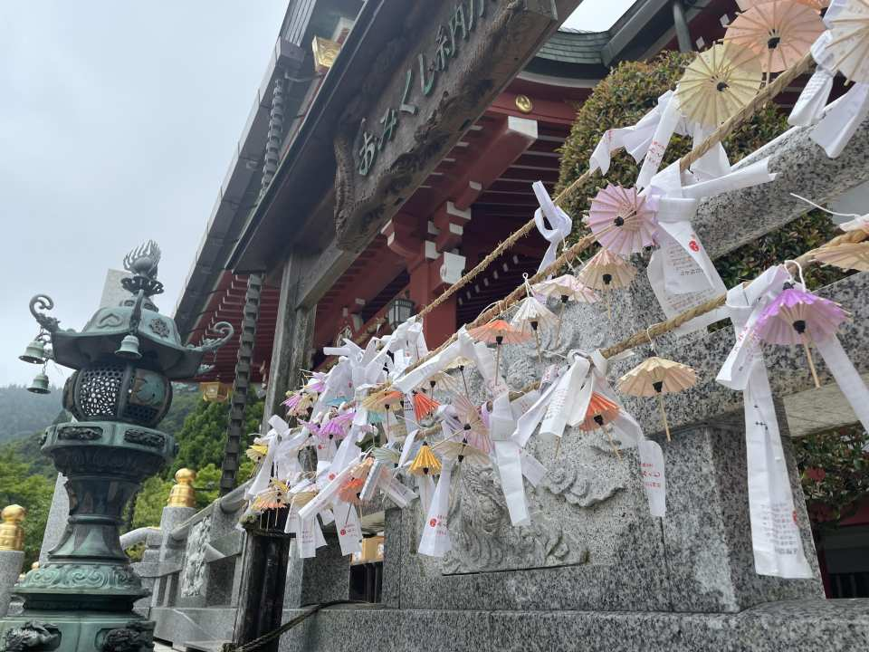 The Ultimate Isehara Experience: Edo's Great Mountain Pilgrimage "Goma-gyo Training Experience Held Only Once a Year" Includes 1 Night, 2-Day Group Tour - Photo 1 of 5