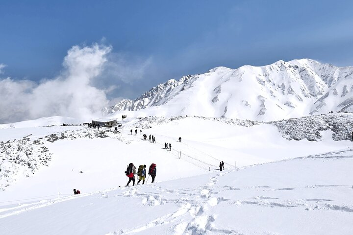 Once at the top station, you can stay with your guide or explore the snowfields by yourself