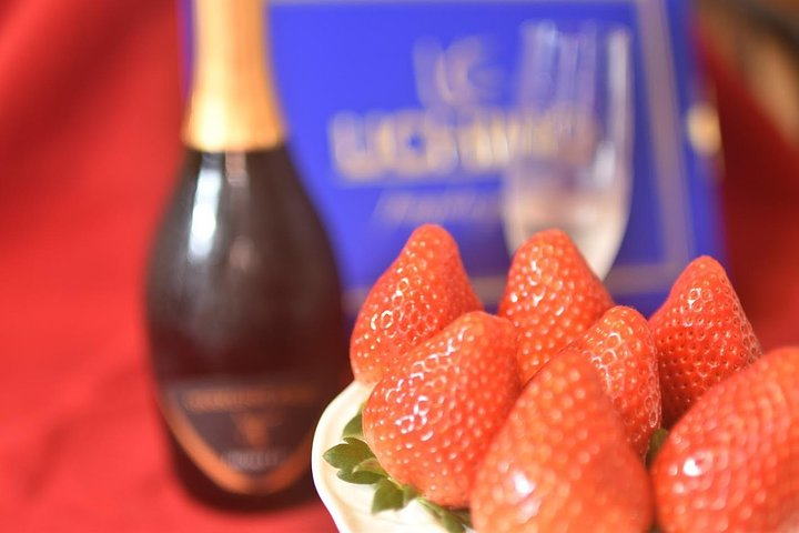 Strawberry Picking and Snow experience at Mt Fuji ski resort for VIP - Photo 1 of 5