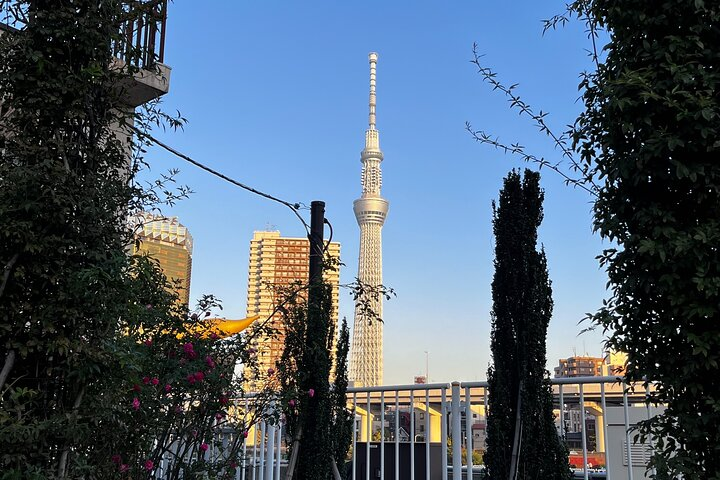 Stroll alongside the picturesque Sumida River soaking in stunning views of Tokyo Skytree while exploring Asakusa's iconic Senso-ji Temple and savoring local delights along the way.