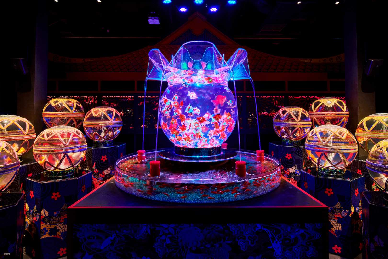 Ginza Art Aquarium + Tokyo Metro 24-Hour Pass - Photo 1 of 9