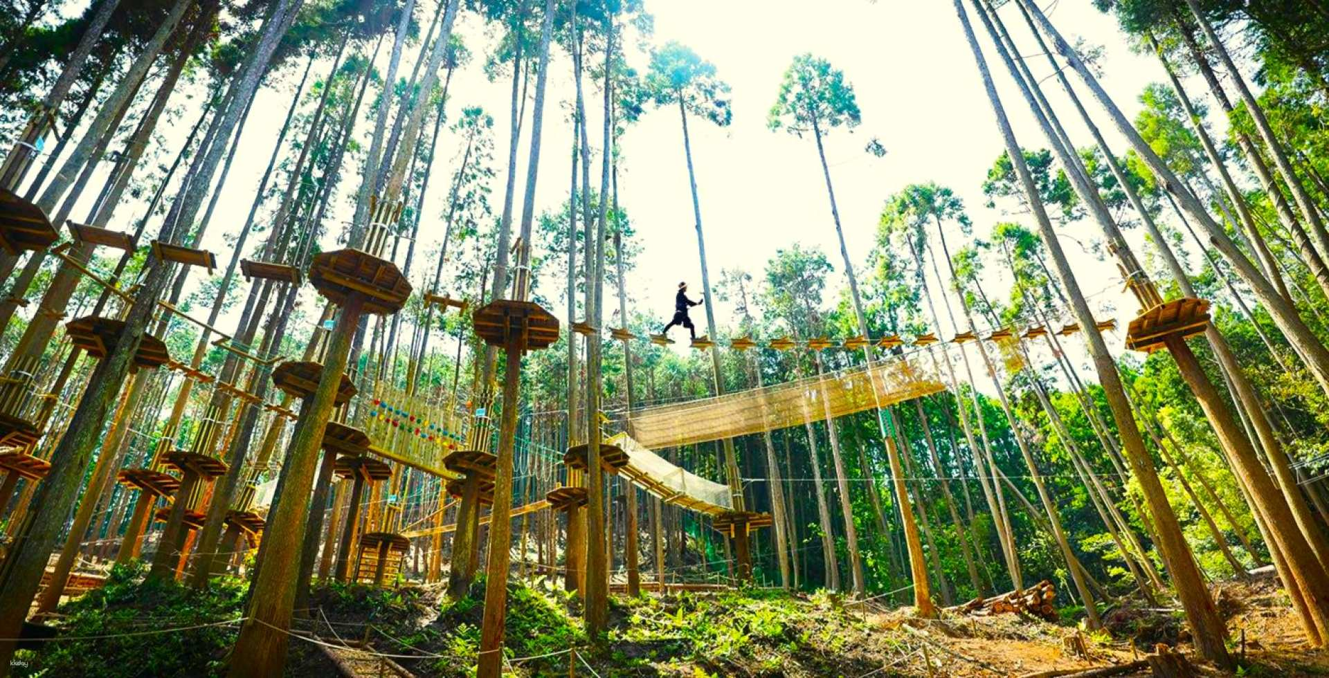 Take an aerial walk through Soeda Forest! Treetop athletics that the whole family and friends can enjoy together [Forest Adventure Soeda] - Photo 1 of 2