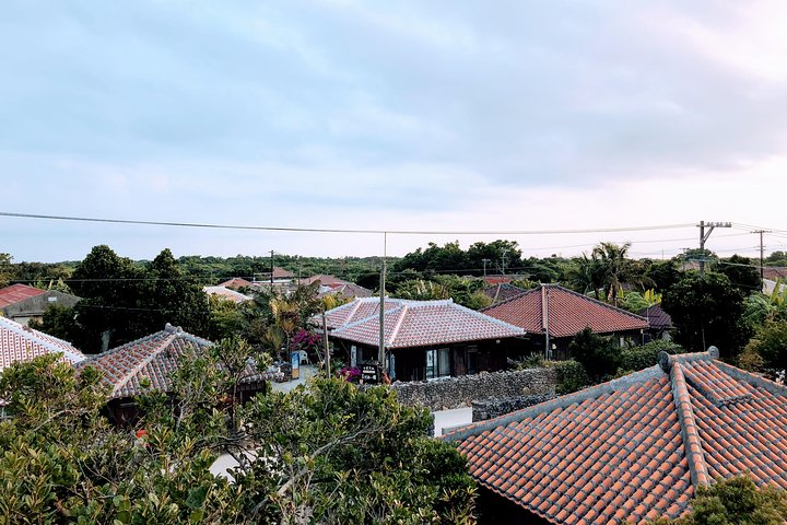 Taketomi Island Walk Tour with an Island Guide - Photo 1 of 8
