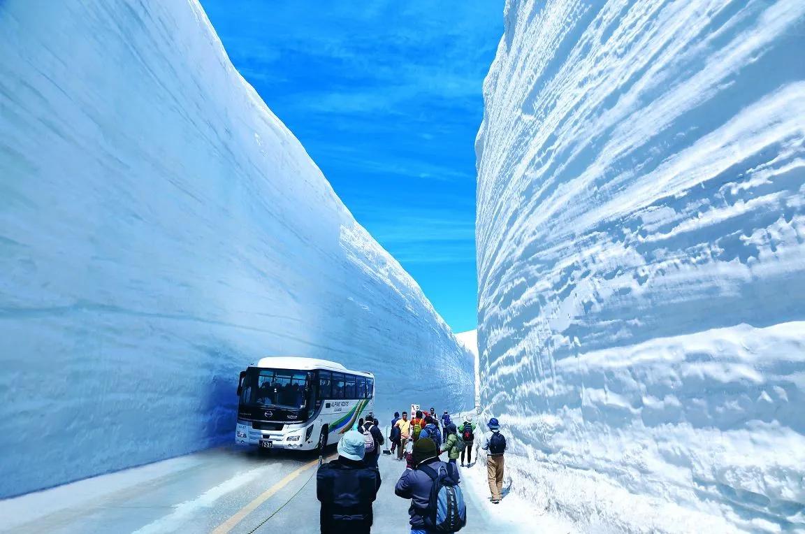 Tateyama Kurobe Snow Wall 2025 Festival 1 Day Bus Tour from Nagoya - Photo 1 of 8