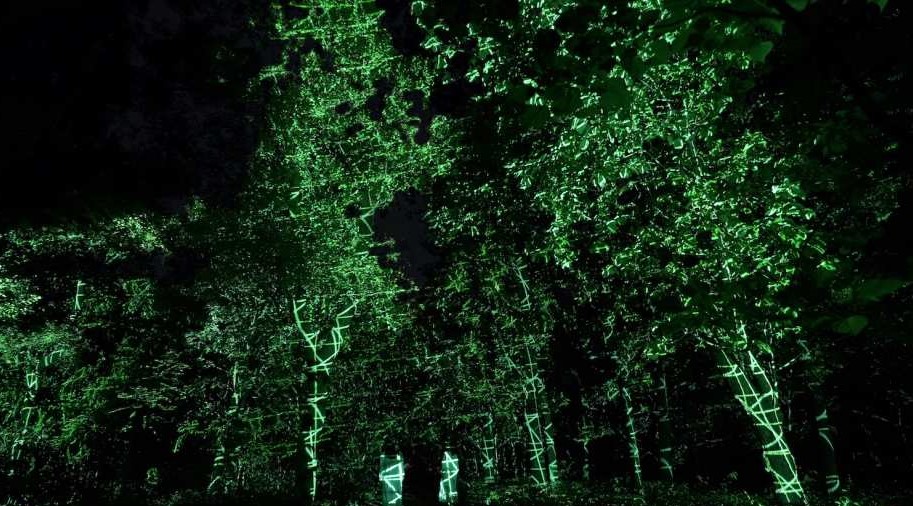 teamLab Botanical Garden Osaka Ticket - Pelago