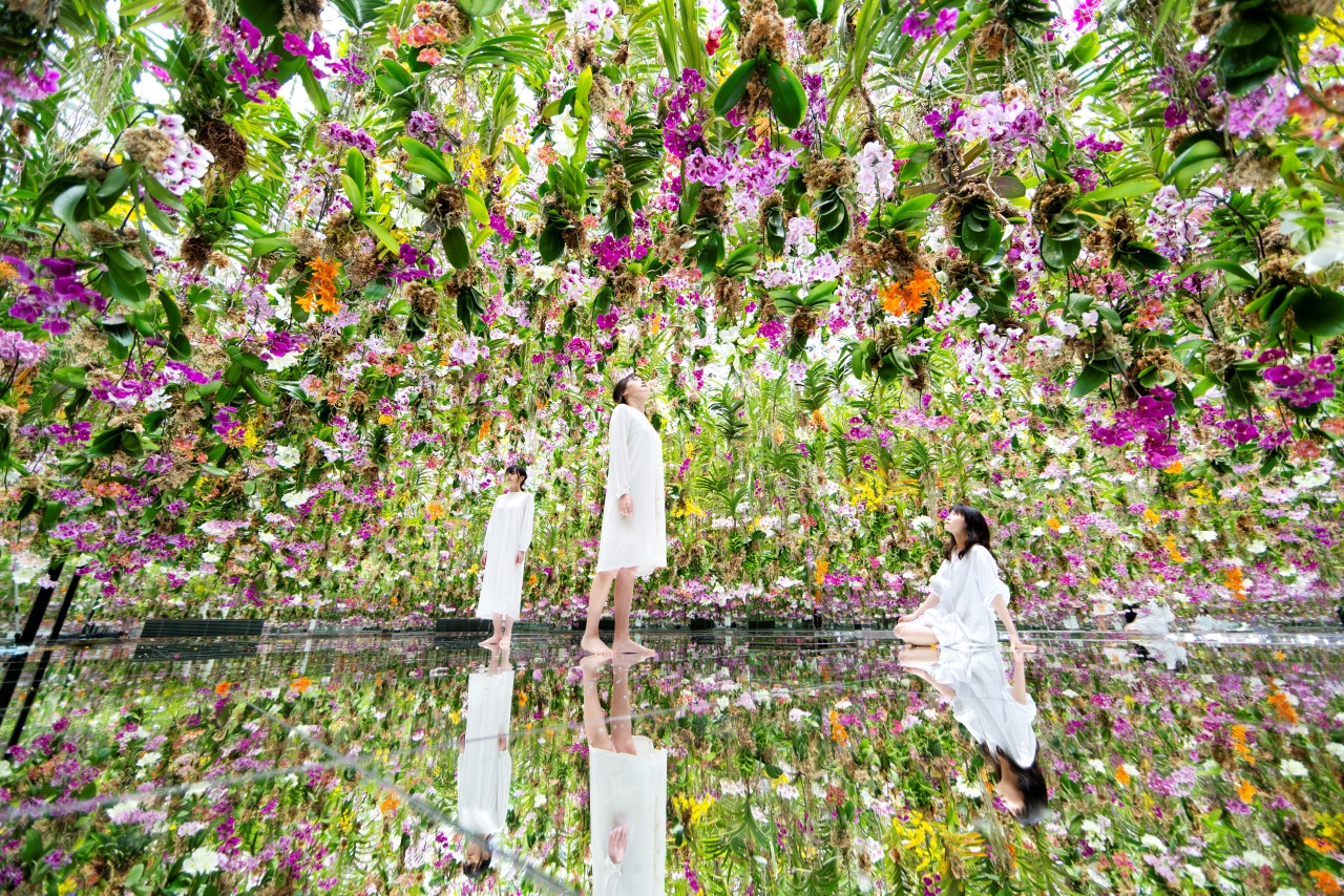 Immerse yourself in a mesmerizing floral paradise where art meets nature. Barefoot in water interact with dainty blossoms and reflections creating unforgettable memories in this unique digital gallery.