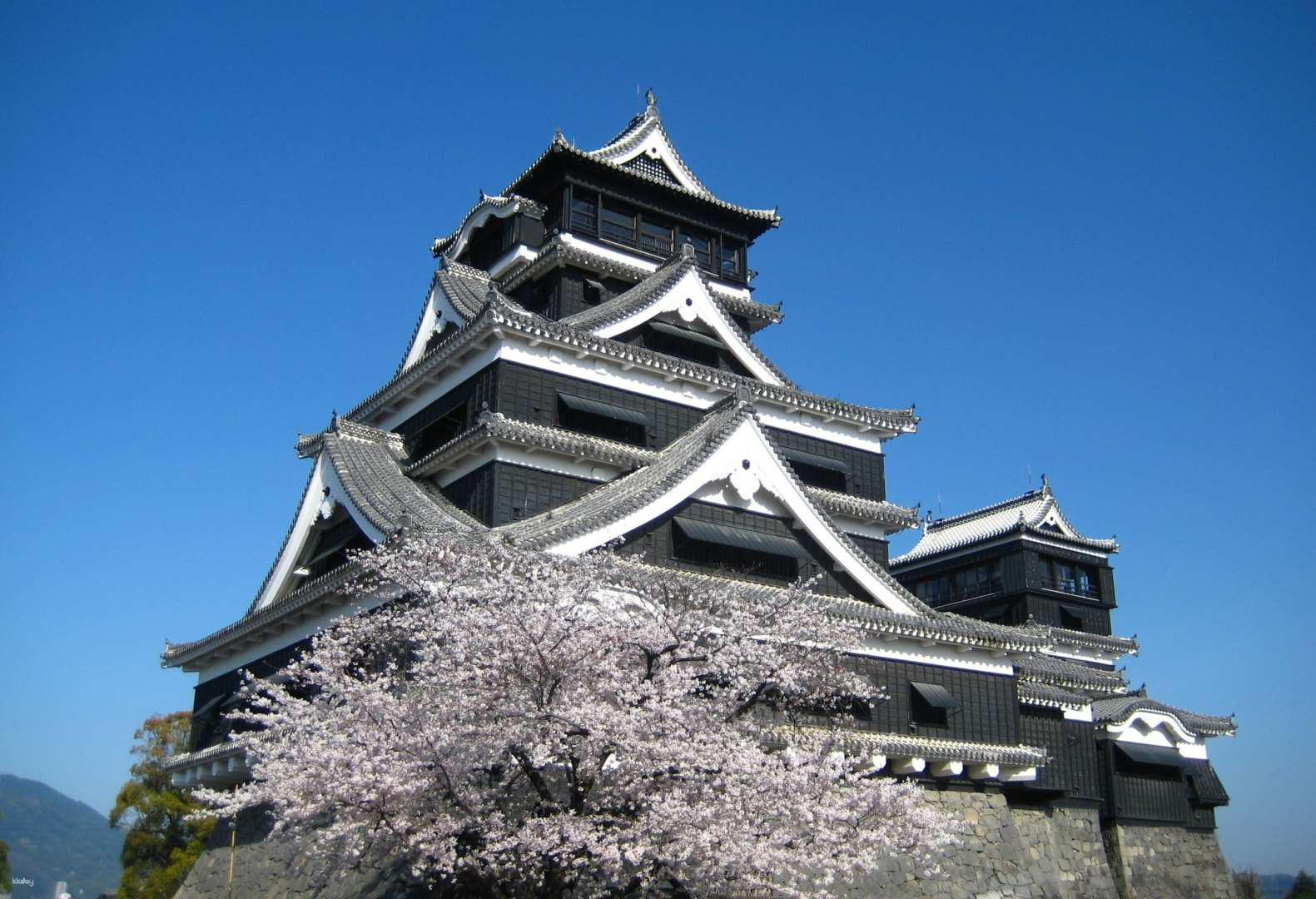 The 2-museum common ticket for Kumamoto Castle and Wakuwakuza. - Photo 1 of 10