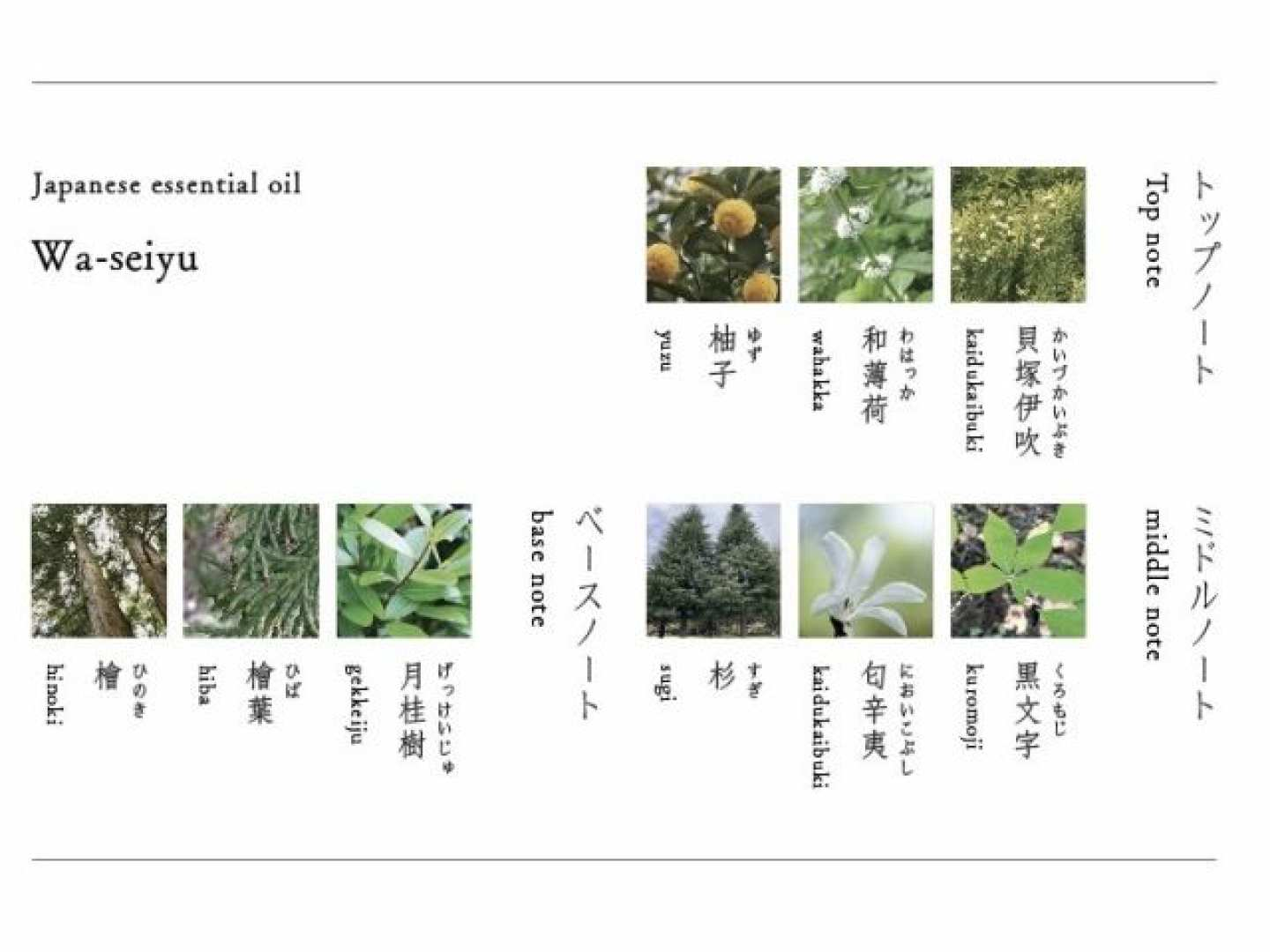 [THE ABRAM AROMA SHOP] [Fukuoka Prefecture, Fukuoka City] Original perfume making experience (Japanese essential oils) - Photo 1 of 9