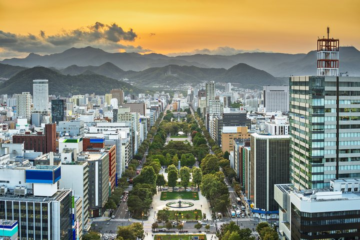 Sapporo Highlights: Art, Nature, and Architecture Private Tour - Photo 1 of 3