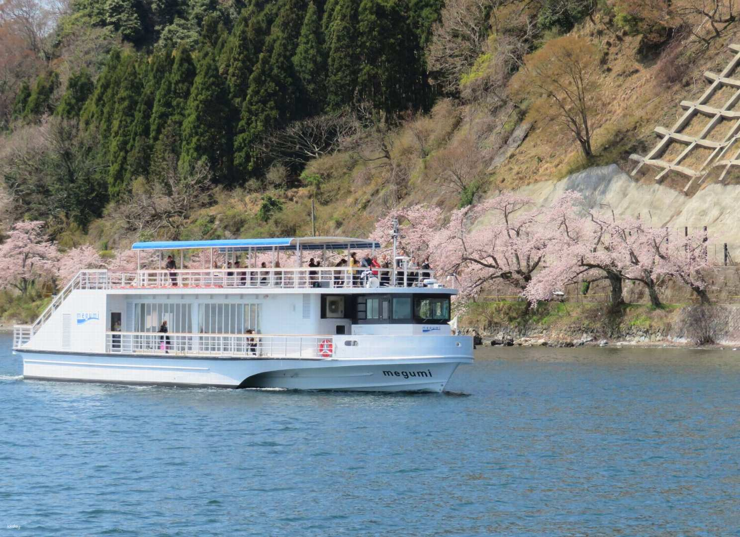 Ticket ｜Kaizu Osaki Cherry Blossom Cruise｜Shiga - Photo 1 of 4