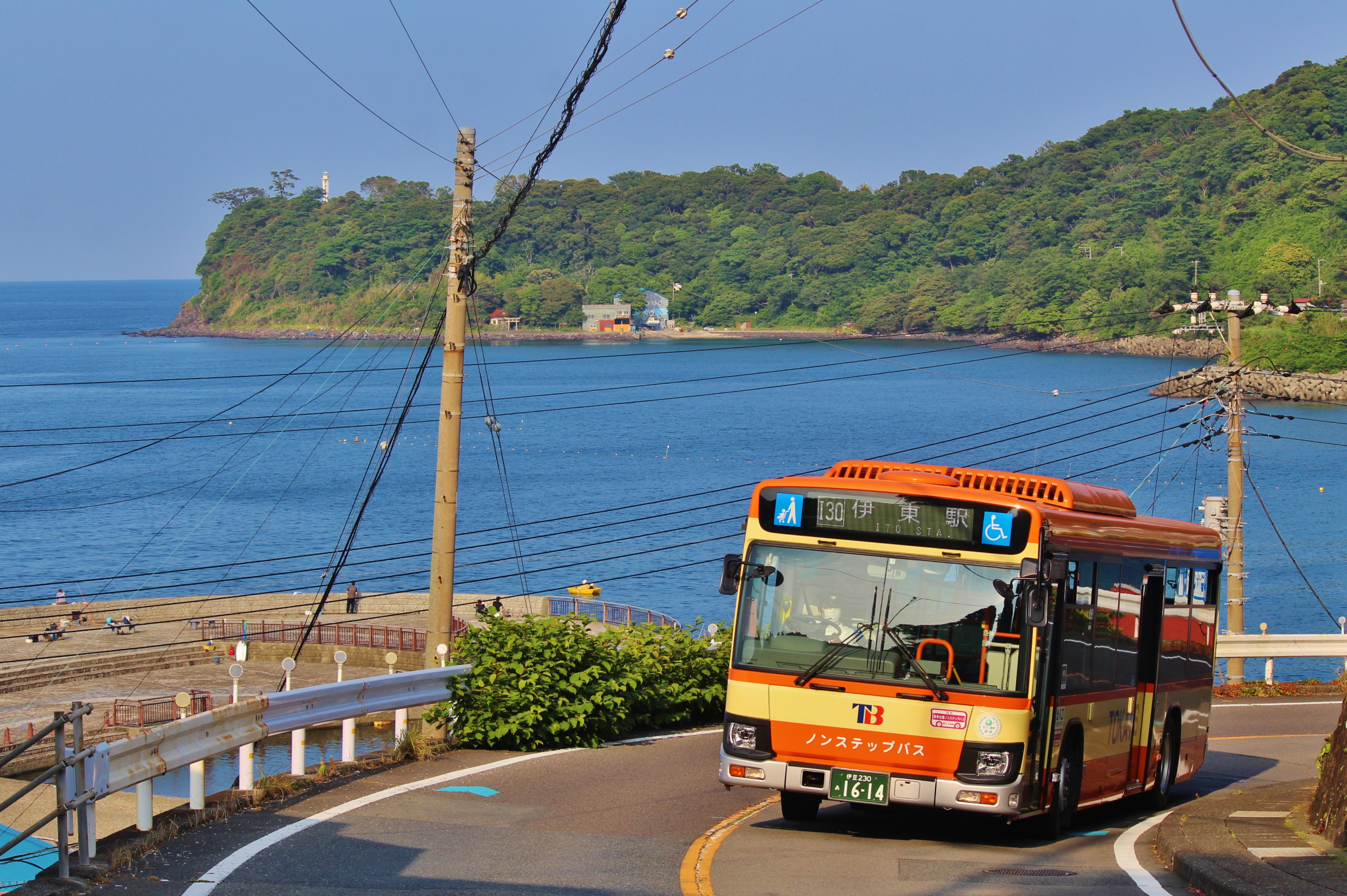 Tokai Bus "Ito & Izu-Kogen 2-Day Pass" - Photo 1 of 5