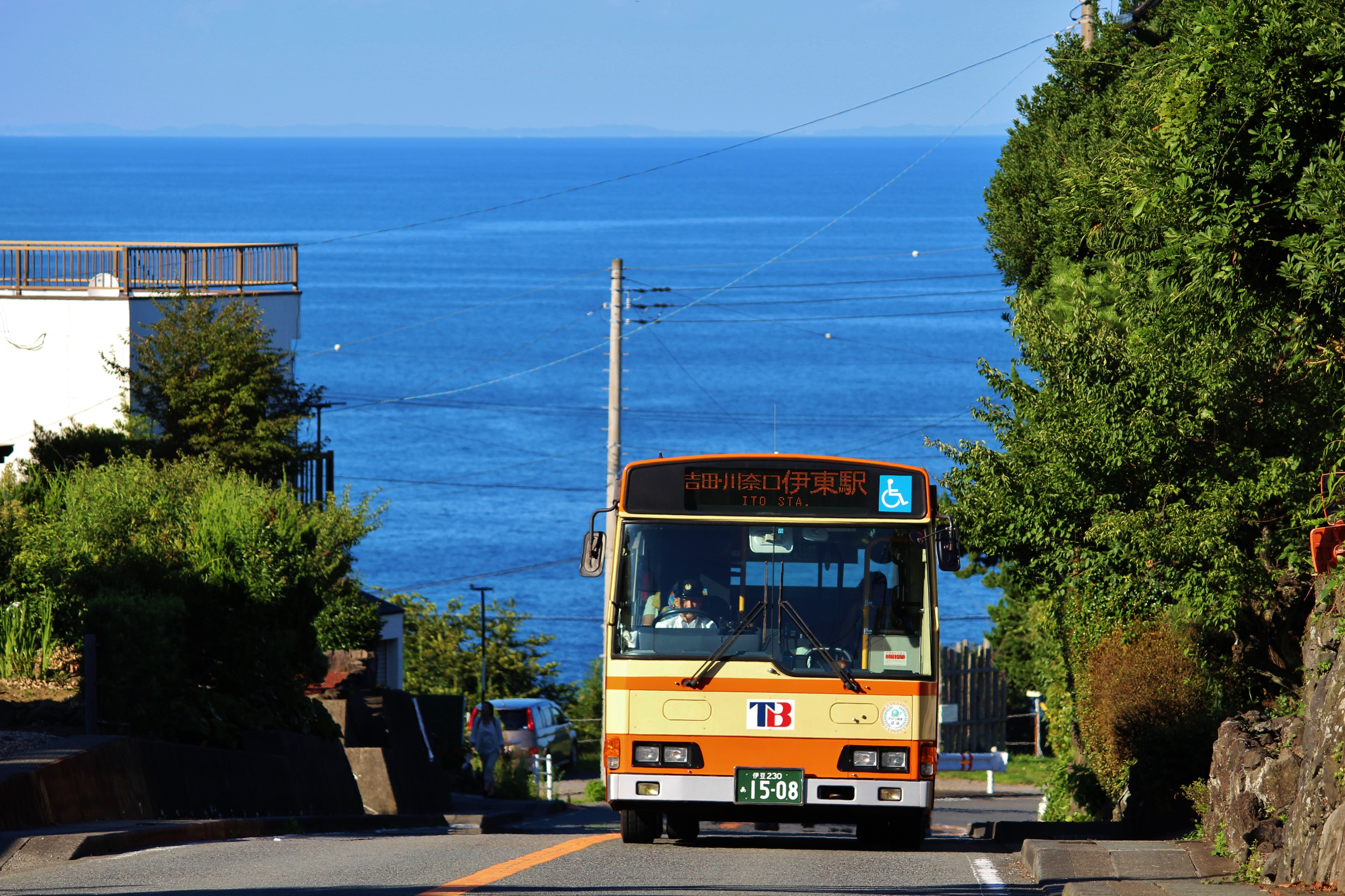 Tokai Bus "Izu Kogen & Jogasaki 1-Day Pass" - Photo 1 of 5