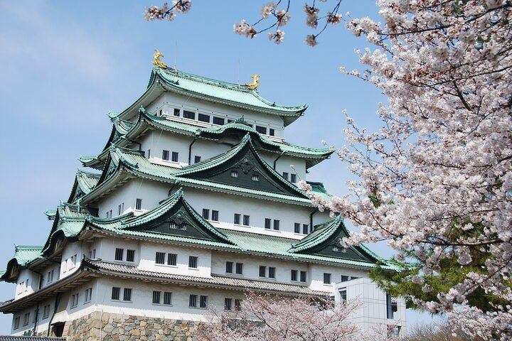 Experience the beauty of cherry blossoms framing the majestic Nagoya Castle alongside the serene Tokugawa Garden creating a perfect day for history and nature enthusiasts.