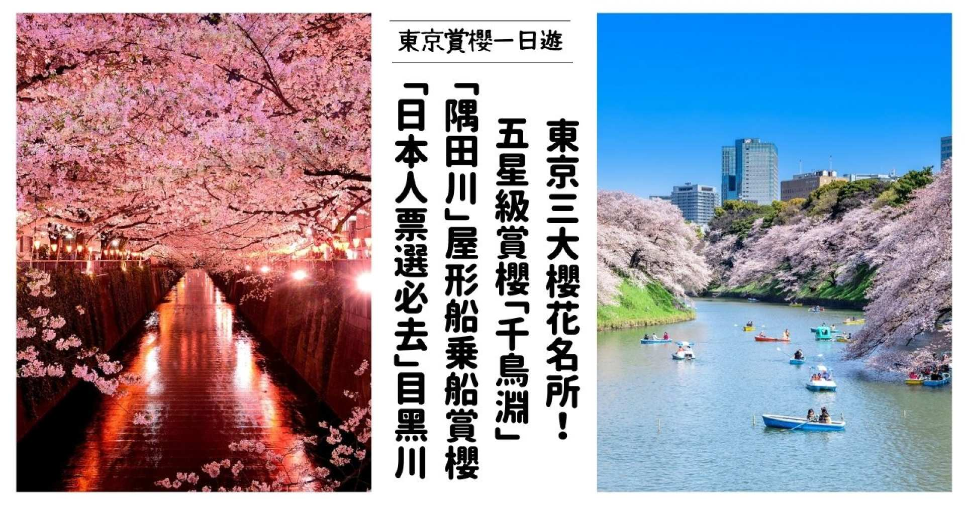 Tokyo Cherry Blossom Viewing Half Day Tour｜Higashisumida River Yakatabune Cherry Blossom Banquet｜Depart from Tokyo - Photo 1 of 6