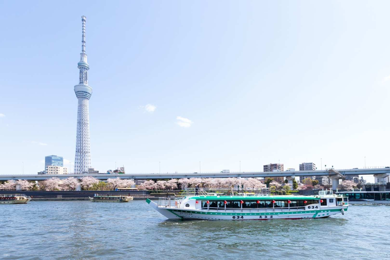 Tokyo cherry blossom viewing day trip tour | Board a Chartered Yakatabune Cruise！Cherry blossom viewing cruise on the Sumida River and food tour of Fukagawa, downtown Tokyo. Includes Japanese meal and all-you-can-drink on board | English and Chinese speaking tour conductor - Photo 1 of 9