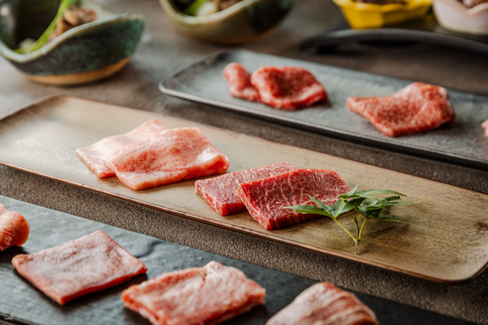 Savor the unique experience of grilling A5 Wagyu beef while enjoying an unforgettable view of the life-size Gundam just minutes from Tokyo Teleport Station.