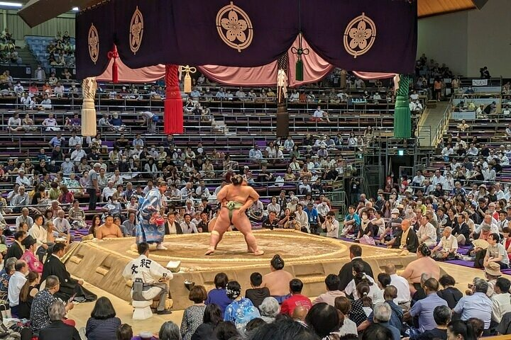 Tokyo Grand Sumo Tournament May 2026 with a Sumo Expert Guide - Photo 1 of 25