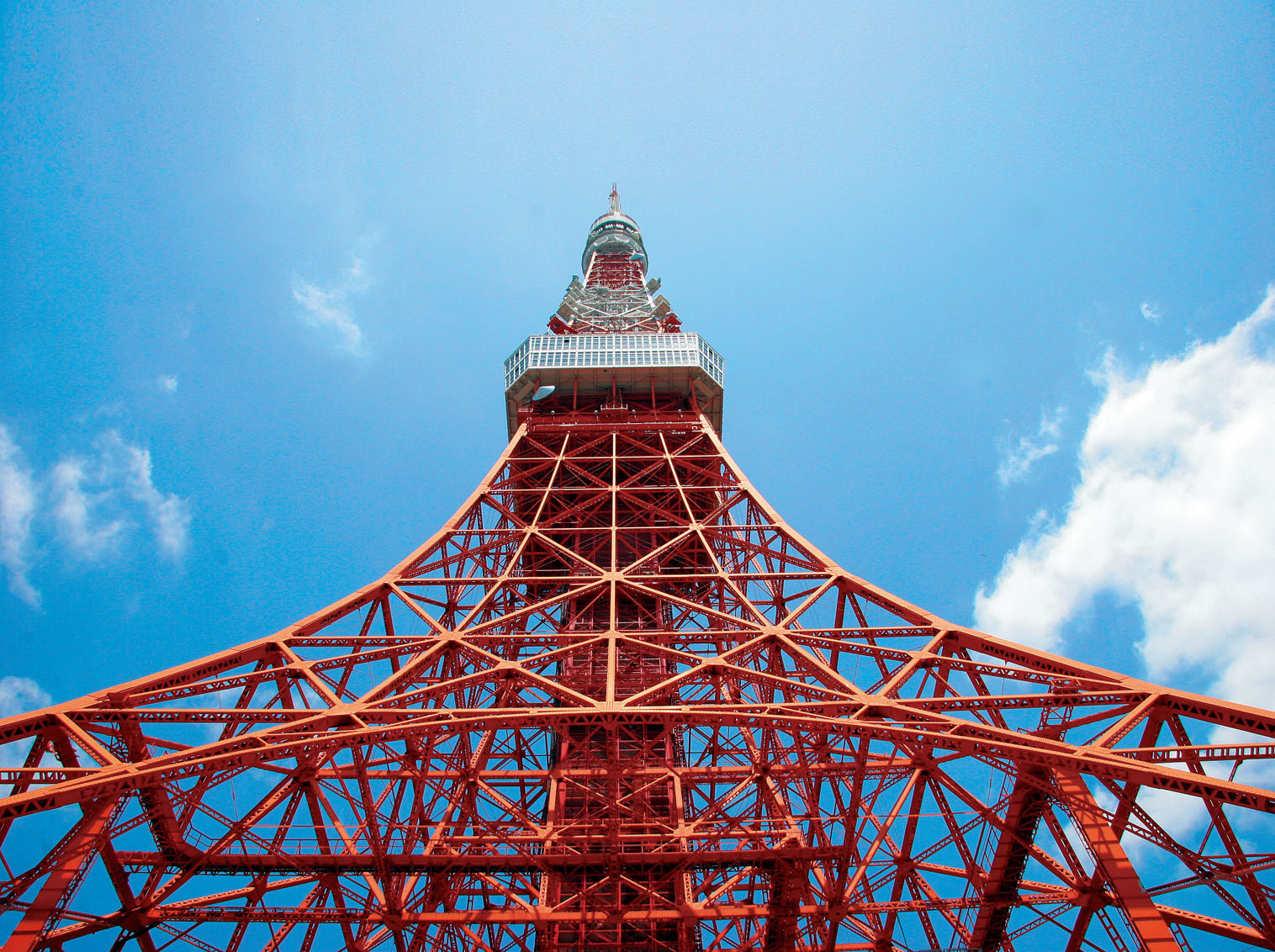 TOKYO HALFDAY | half-day Tokyo tour by Hybrid Bus※From August - Photo 1 of 5