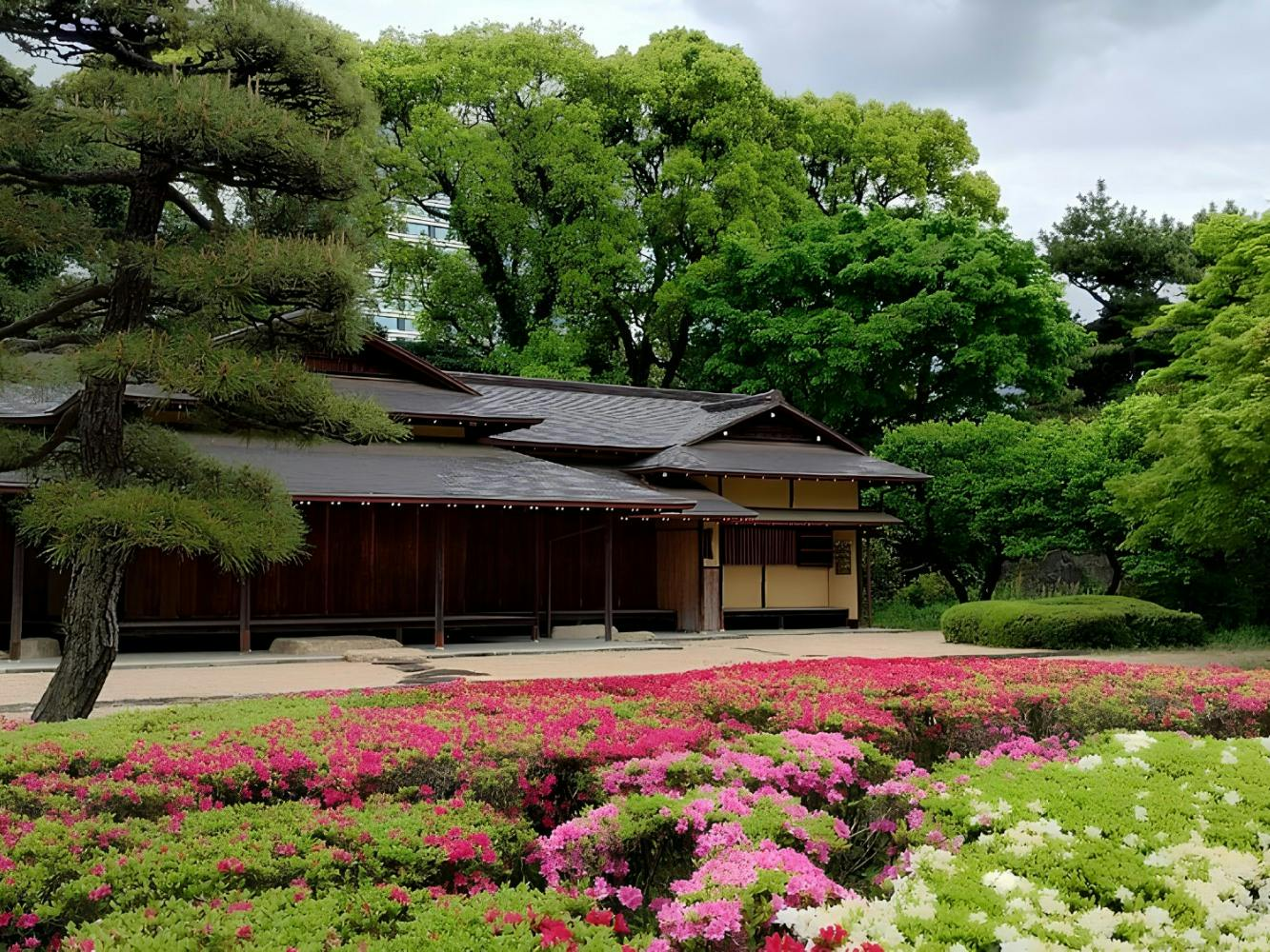 Tokyo Imperial Palace & Edo Castle: 2-Hr Historical Guided Walking Tour - Photo 1 of 20