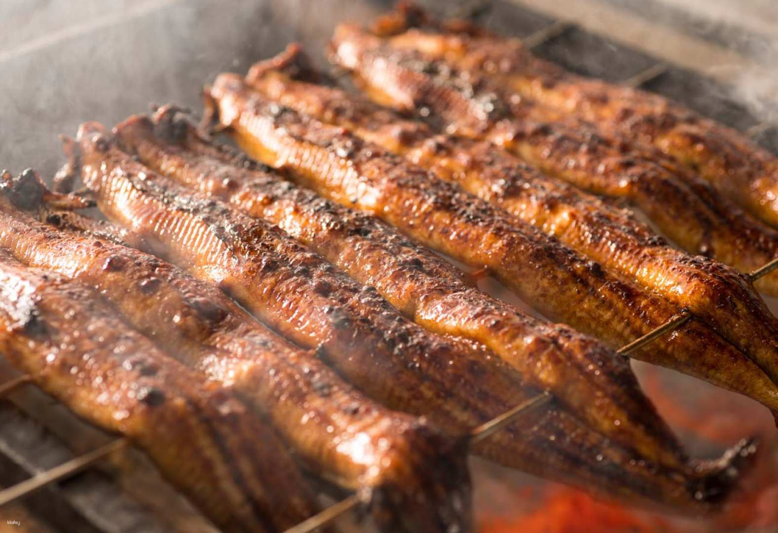 Experience the delightful aroma of expertly grilled eel at Nyorosuke Roppongi where each dish showcases a perfect blend of tradition and modern culinary artistry in Tokyo.