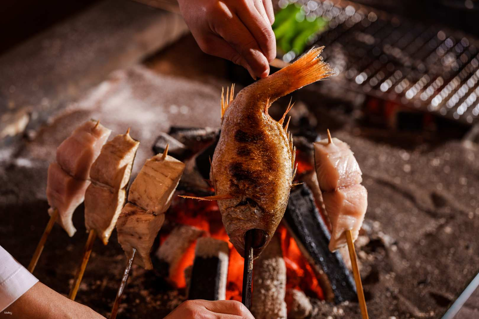 Experience the rich tradition of Genshiyaki savoring expertly grilled dishes over charcoal all while enjoying unique seating options in the heart of Tokyo near Shinjuku Station.