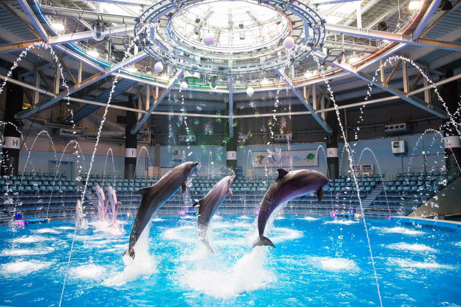 Dive into the excitement of Maxell Aqua Park Shinagawa where dolphins leap through water sprays creating unforgettable moments for families exploring Tokyo’s marine wonders. Experience the magic firsthand!