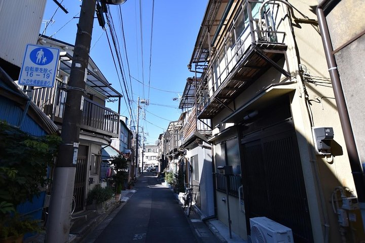 Explore Tokyo’s hidden alleys where traditional architecture meets modern life. Capture the essence of the city as you wander through serene streets filled with history and charm.