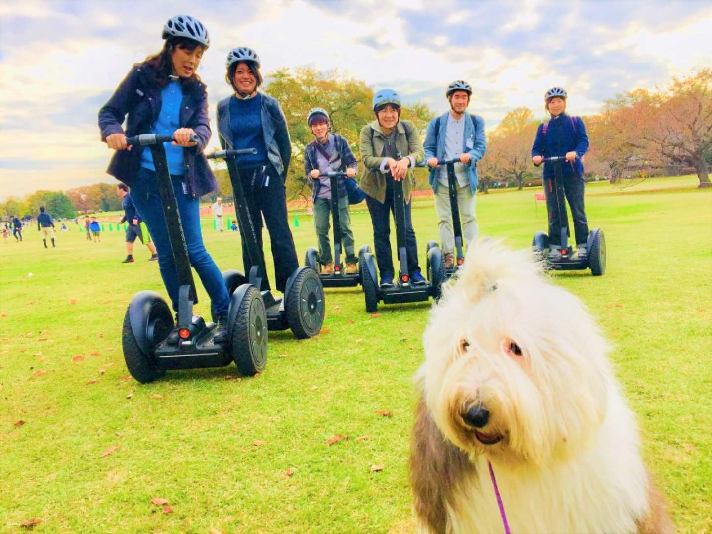 Explore Showa Kinen Park on a Segway enjoying nature’s changing seasons and unexpected encounters while effortlessly gliding through this scenic Tokyo destination. Perfect for any traveler!