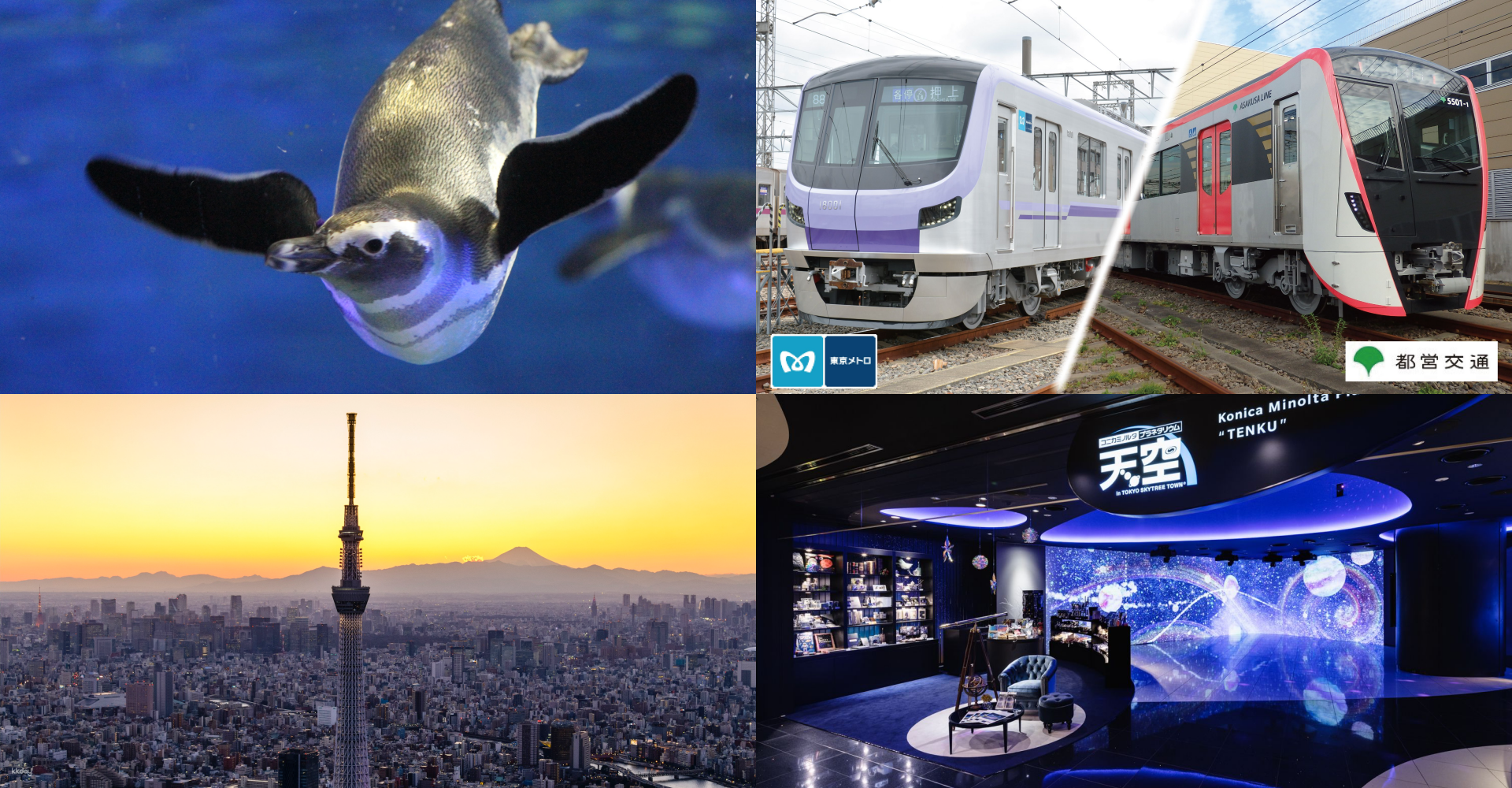 Ascend TOKYO SKYTREE for stunning views of Tokyo Bay and beyond. Experience the unique glass walkway and immerse yourself in the wonders of the Konica Minolta Planetarium TENKU.