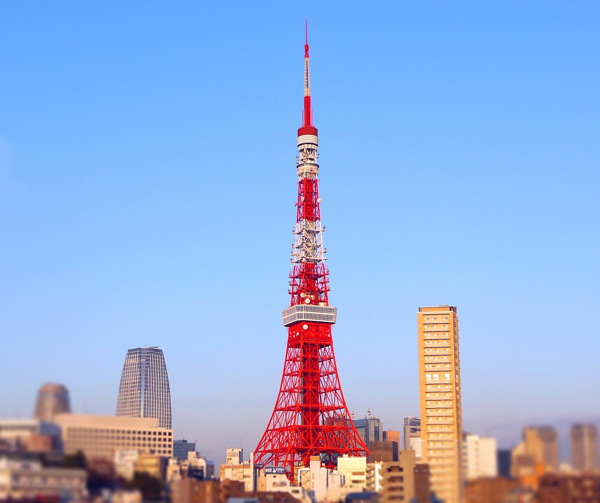 Discover sweeping vistas of Tokyo's skyline from the Tokyo Tower Observatory where iconic landmarks come to life and unforgettable moments await day or night. Experience the city's charm from above.