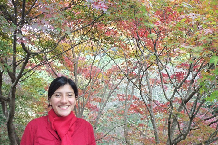 Tour by car with a Kyoto native away off touristy｜a local show you secret places - Photo 1 of 16