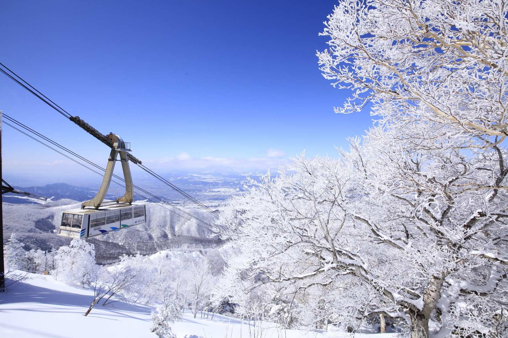 [For 2] 2-Day Nagano Ski Tour (Includes 1-Day Accommodation, Lift Tickets, and Suit Rental) | Kitashiga Ryuo Ski Park | Morning Departure from Shinjuku (Chinese Instructor Option Available) - Photo 1 of 10