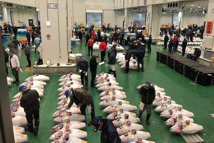 Morning Market Adventure: Toyosu & Tsukiji with Tuna Auction - Photo 1 of 21