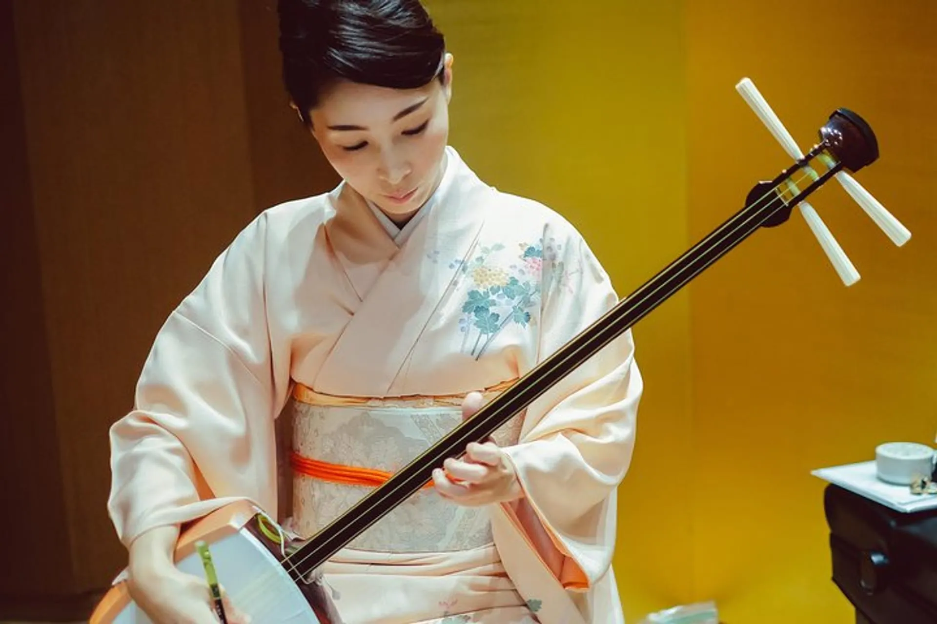 Traditional Japanese Music ZAKURO SHOW in Tokyo in Tokyo | Pelago