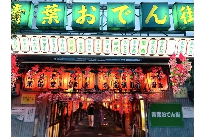 Travel back in time to the Showa-era Oden Street/V-G - Photo 1 of 9