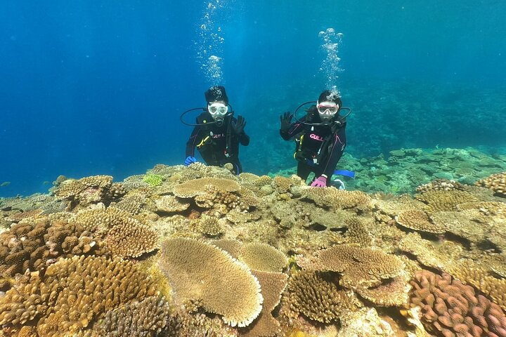 Okinawa: Discover SCUBA Diving 2 Dives at Minna, Sesoko or Motobu - Photo 1 of 7