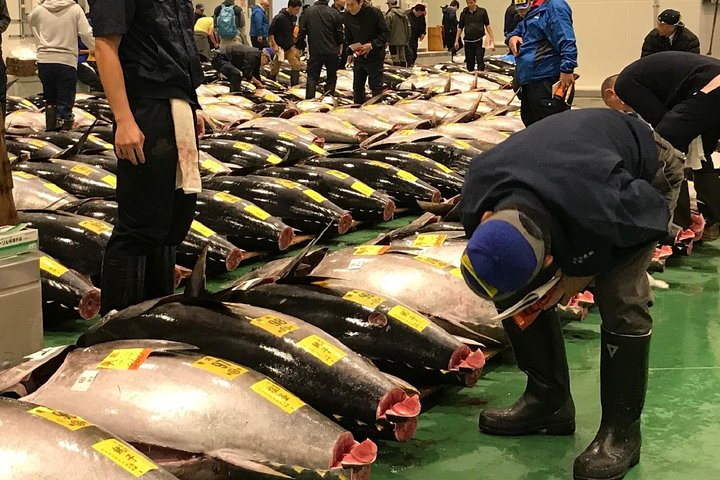 Experience the bustling energy of Toyosu Fish Market as you witness the thrilling tuna auction interact with local fishmongers and explore unique shops that define Tokyo's culinary scene.