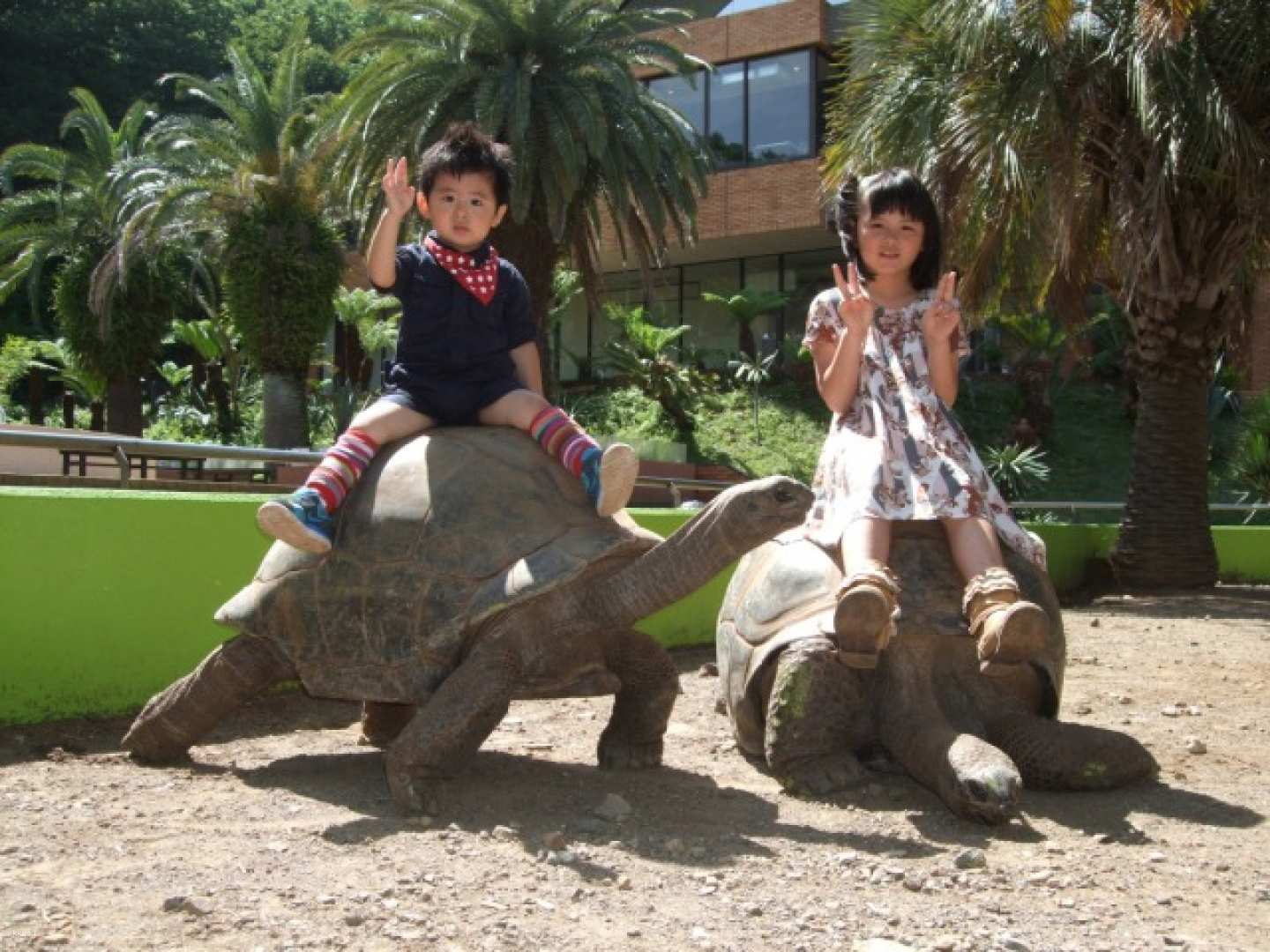 Up to JP¥200 discount | iZoo & KawaZoo Mutual Admission Ticket | Shizuoka, Japan - Photo 1 of 10