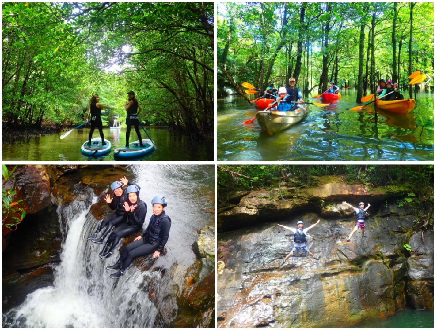 Departing from Iriomote Island | Valley canyoning + canoe or SUP experience in the mangrove forest (with hotel pick-up in the Uehara area and free photo data) - Photo 1 of 10