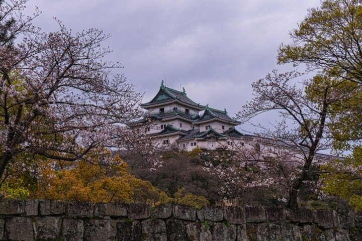 Discover the majestic Wakayama Castle steeped in history surrounded by serene gardens and stunning views. A perfect blend of culture and nature awaits you on this unforgettable tour.