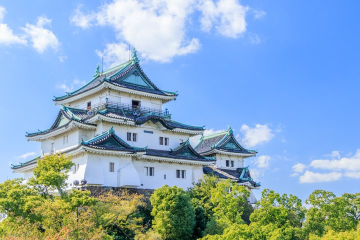 Wakayama Castle and Kuroshio Market 1 Day Tour - Photo 1 of 5