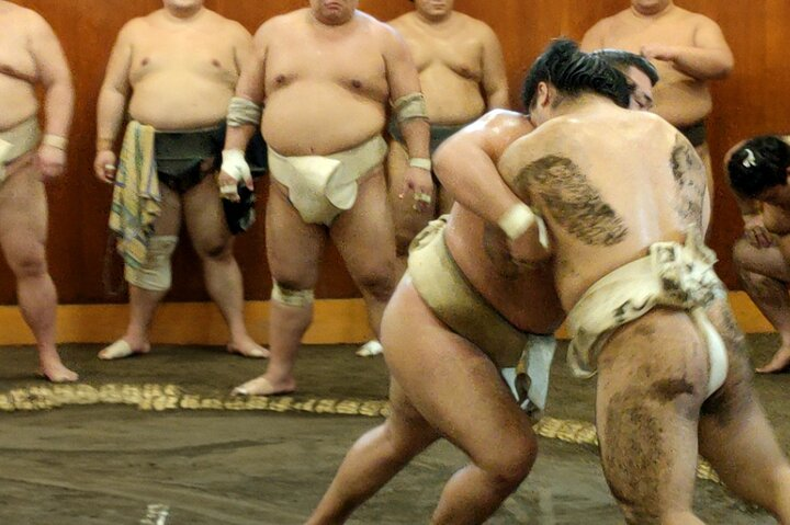 Sumo Training Watching Experience in Tokyo - Photo 1 of 6