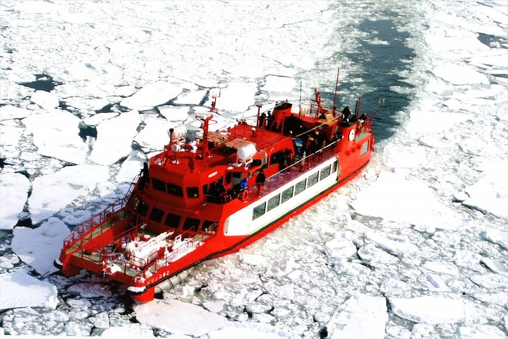 Winter in Hokkaido! Visit Asahiyama Zoo, the Frozen Ice Sea and Sunset Cruise - Photo 1 of 11
